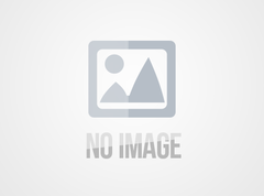 屈服强度那些要点